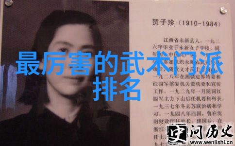 武学自我修炼从基础功法到内外兼修的探究