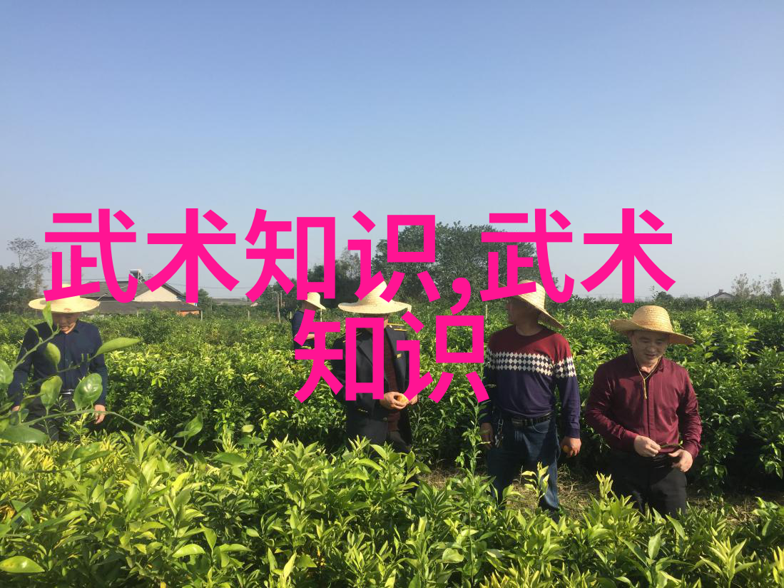 主题我是如何在一夜之间成为高潮之王的