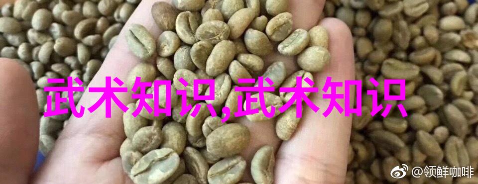沙滩排球生与死北京队在全国男排联赛中不敌上海队输在了哪里