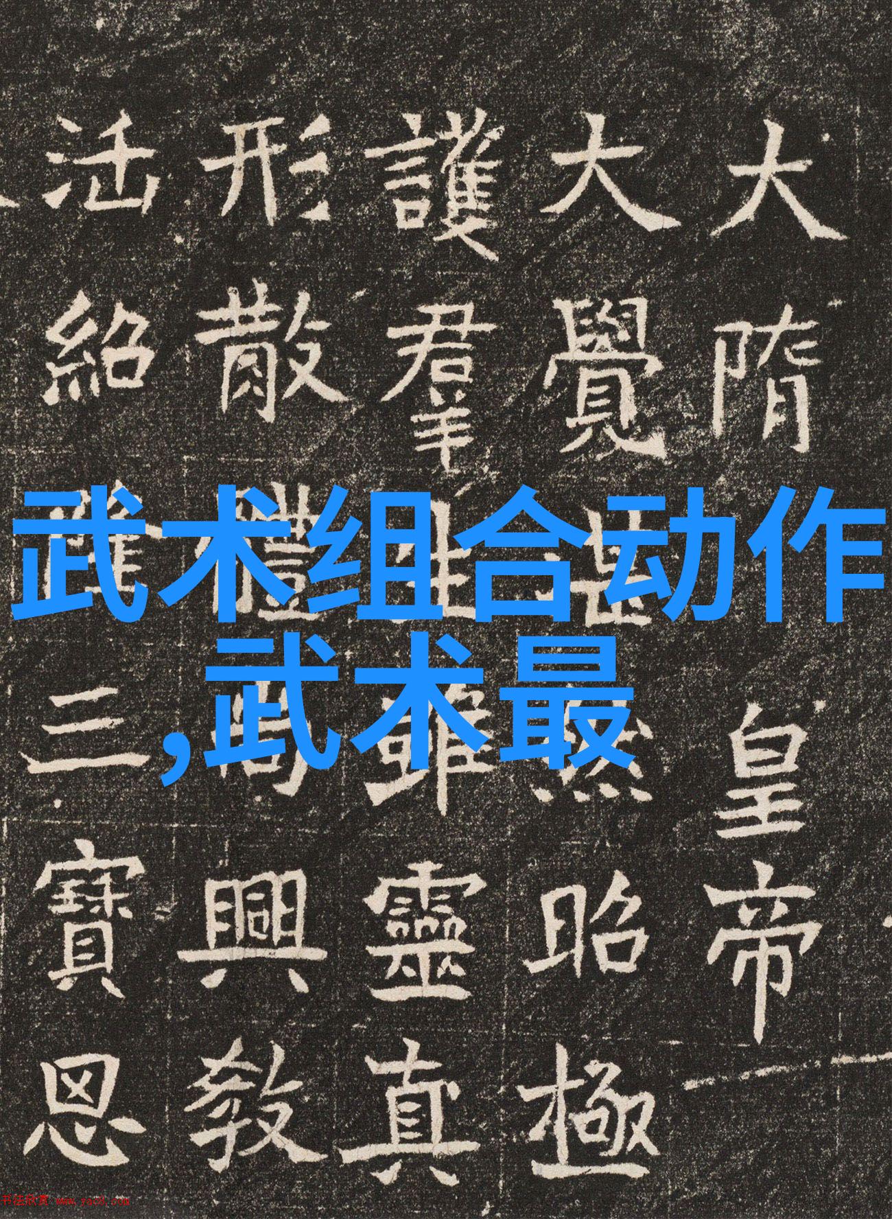 中国体系最庞大的武术门派中的临清肘捶犹如江河之水源远流长