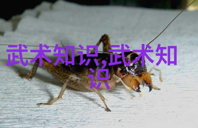 非同凡响的爱我和你的故事一场触动心灵的爱情篇章