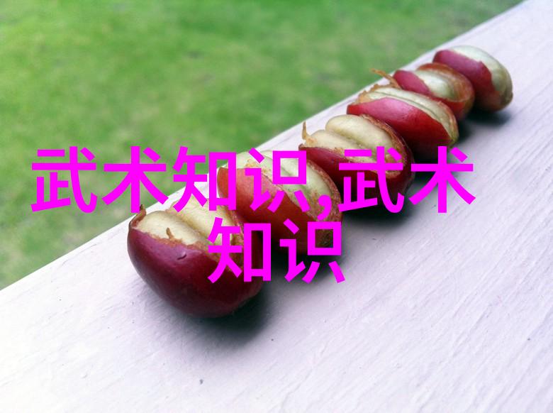 传说中的至宝揭开这些武功秘籍背后的故事和力量