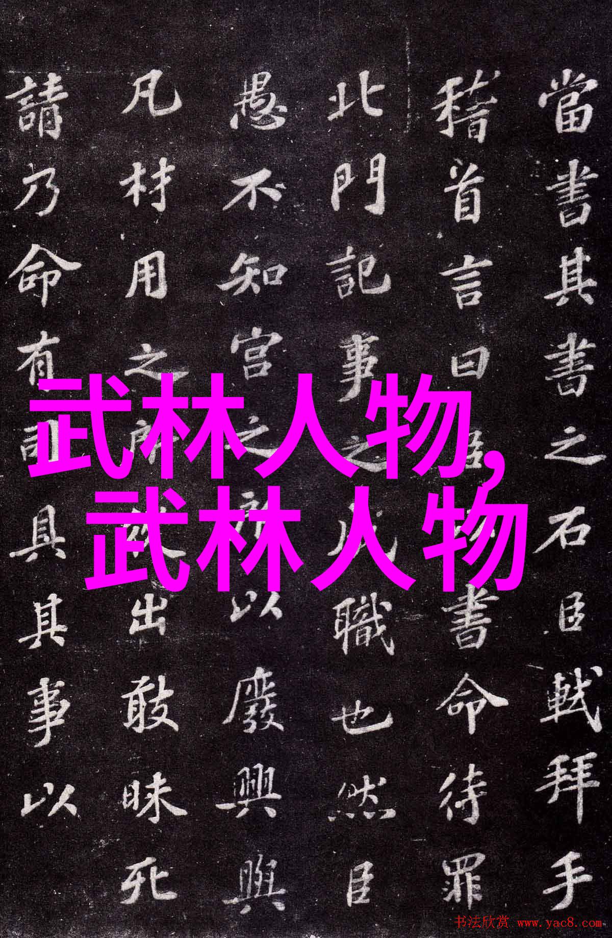 中国传统武术拳法探索千年文化的内功外形