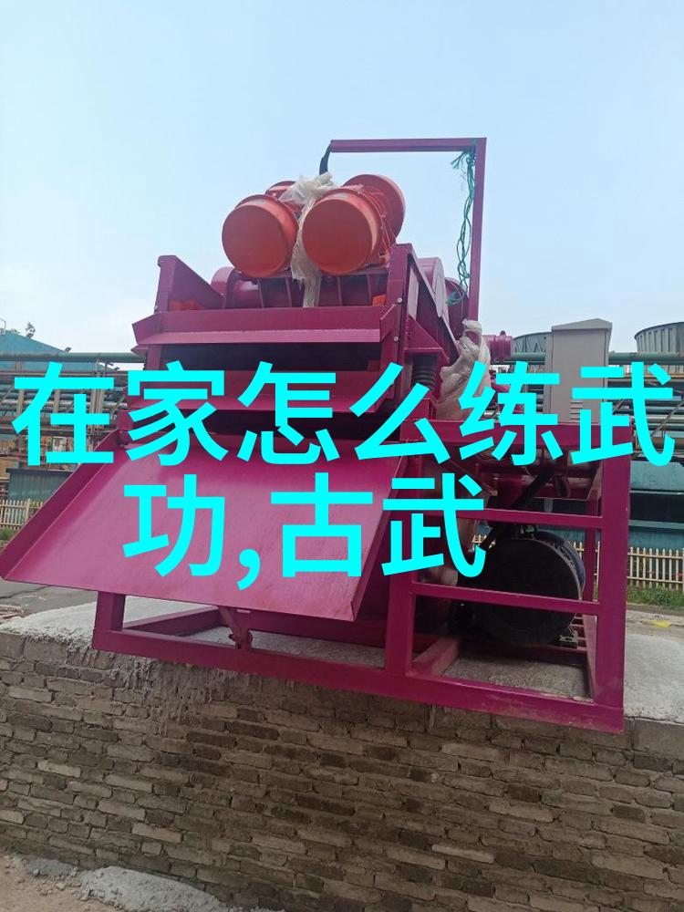 武术巅峰揭秘中国传统武术的十大高峰