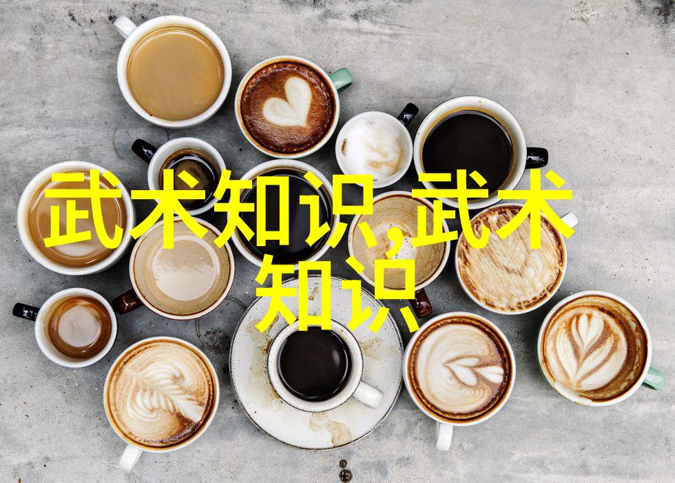 李文奎李艺蕾的太极拳24式自学图解在自然之中探索力与技