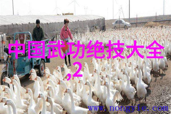 武功自学教学视频内功修炼技巧招式演练指导