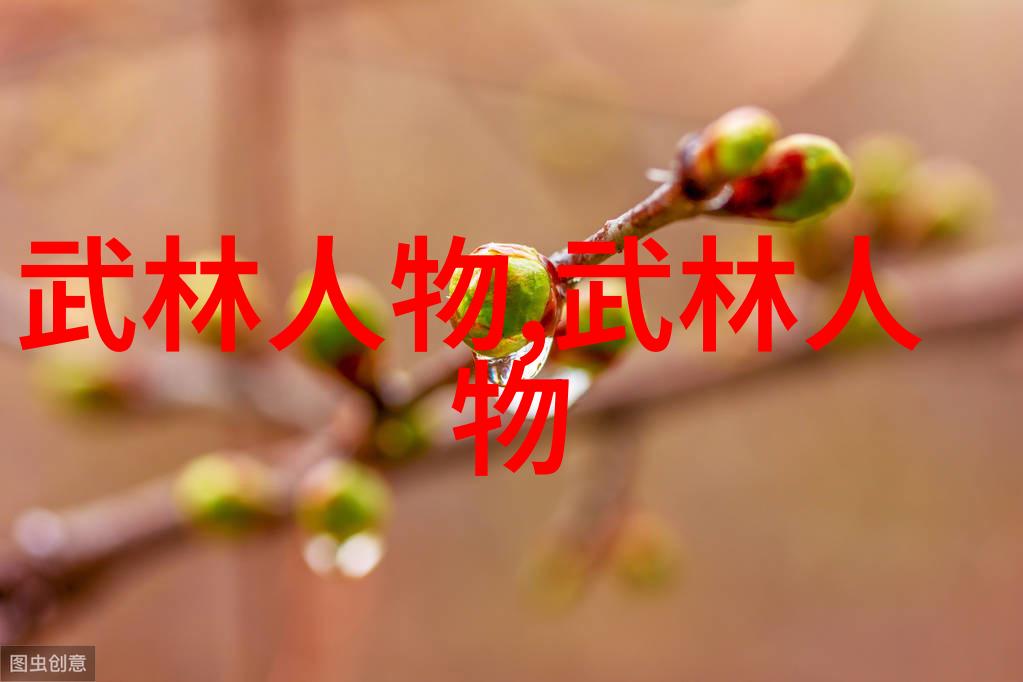 武侠技巧-轻功飞翔揭秘如何在云端翱翔