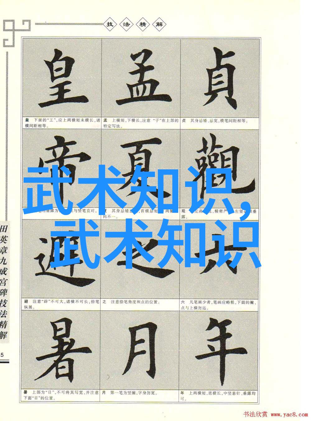 武术训练中国传统功夫的学习与实践