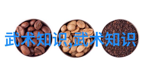 小说武林门派名字大全-江湖纷争百家名门的辉煌与沉浮