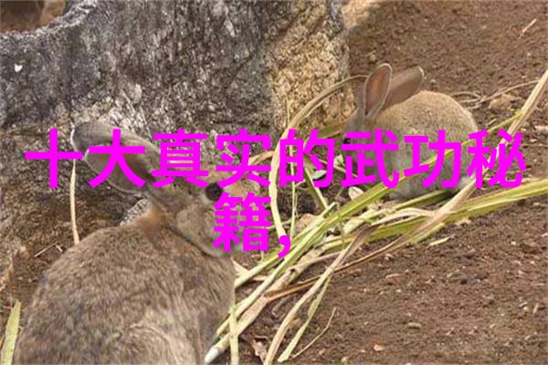 太极拳与葡萄酒24式口诀在社会的共融之美