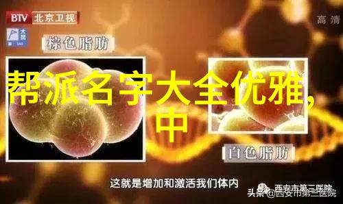 武林修炼大成武术境界的划分与理解