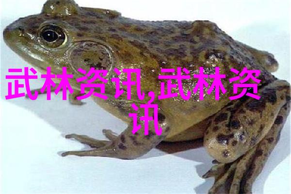 揭秘李小龙神功一探太极劲背后的武学奥秘