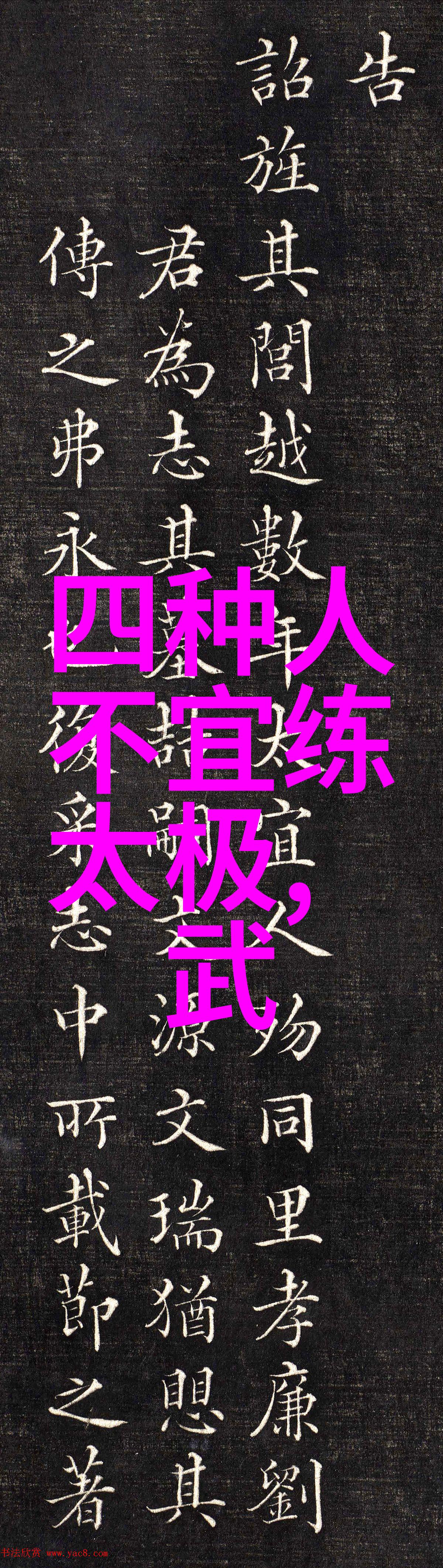 揭秘波速球减脂神器医疗器械论坛独家解密动作教程