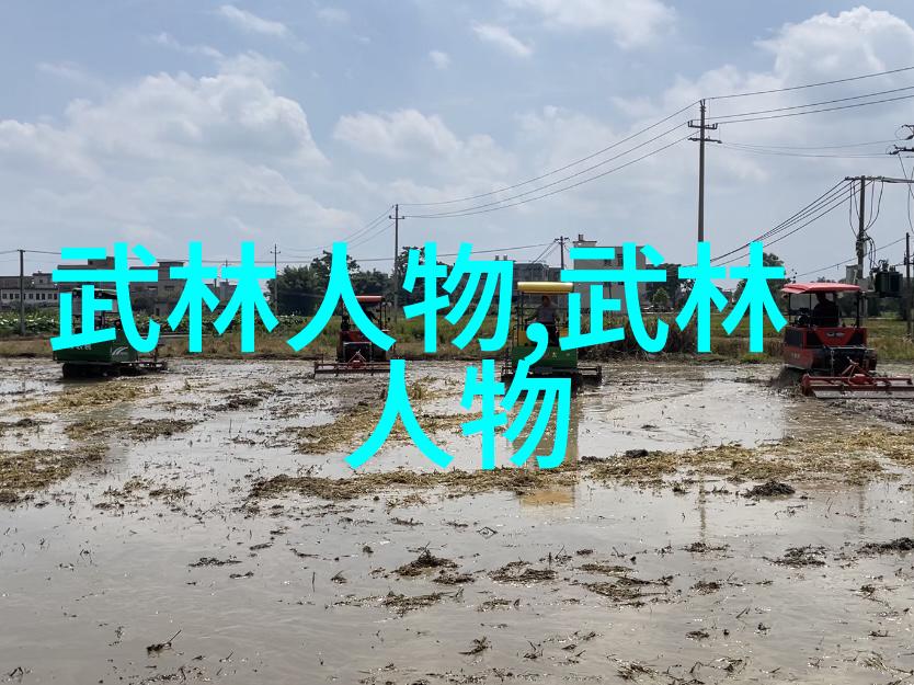 武林绝学-揭秘武林神功寻踪那些未被世人知晓的绝学