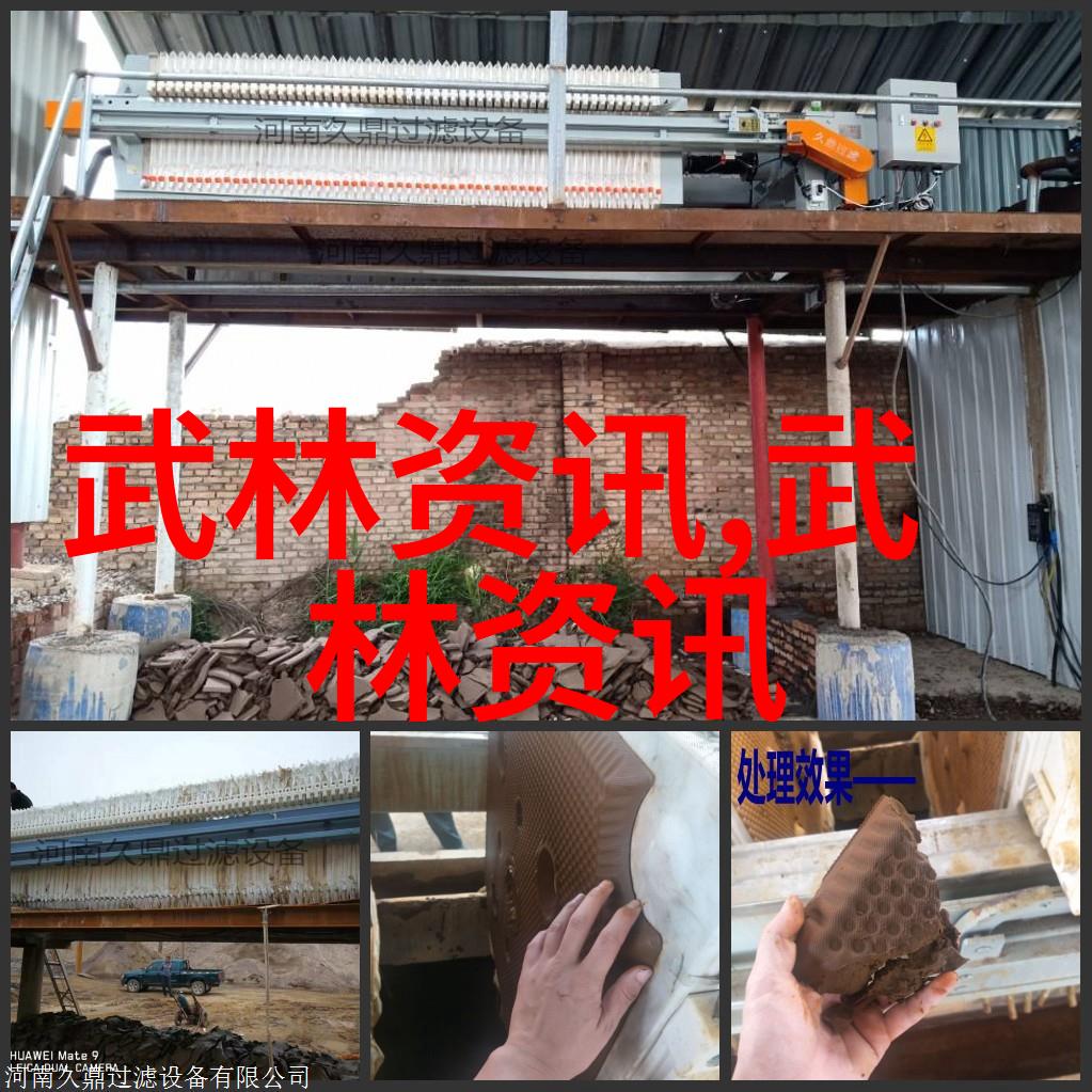 佣兵天下txt全集-刀剑与梦想探秘佣兵天下的传奇