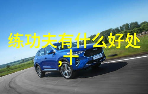 武术万维网官网自然中的陈式太极拳技击之声东击西 - 张杰 刘淑君