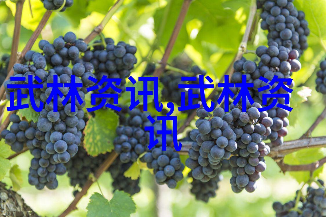 男人眼中的女人武功高美丽与刀光的结合