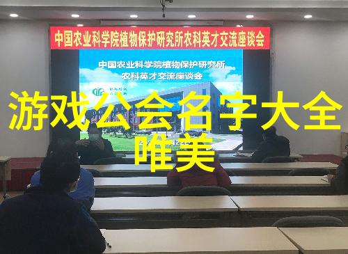 仙气飘飘家族名字的传说与魅力