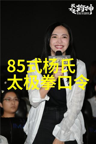 月华门杨式太极舞