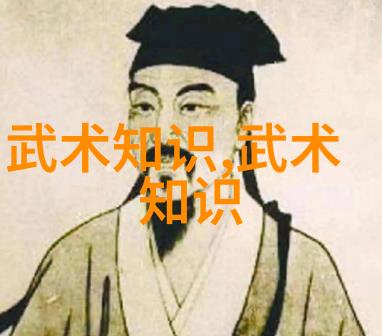 拳影纵横揭秘世界上最狠的武术之谜