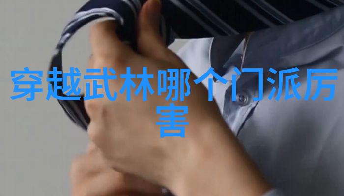 哪种传统文化背景下的武术体系在现代社会中更受欢迎更有市场潜力