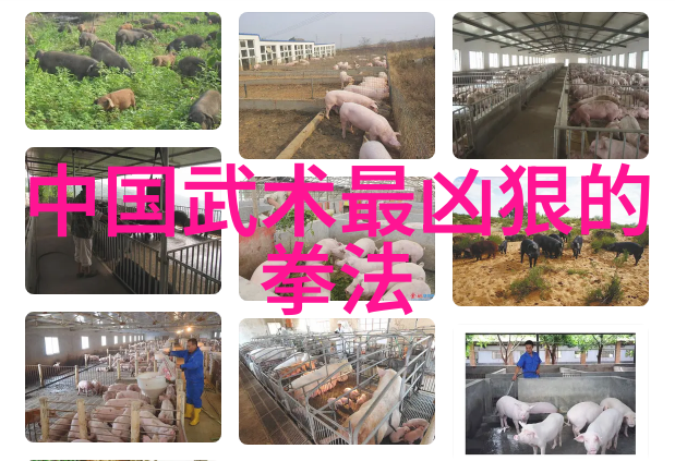 哪门武术最厉害温水小手拳轻柔一击致命