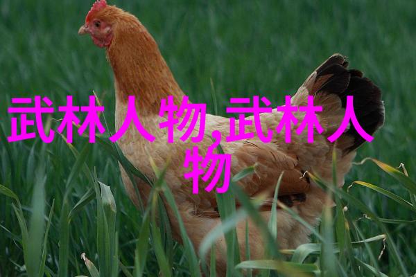 功力神速一路追梦