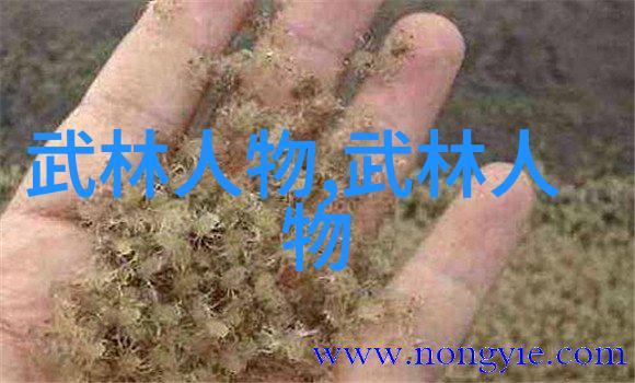 老武术书籍太极拳真传唯一太极心法
