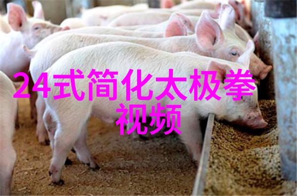 从零到英雄学习简单拳法需要多长时间才能看到效果