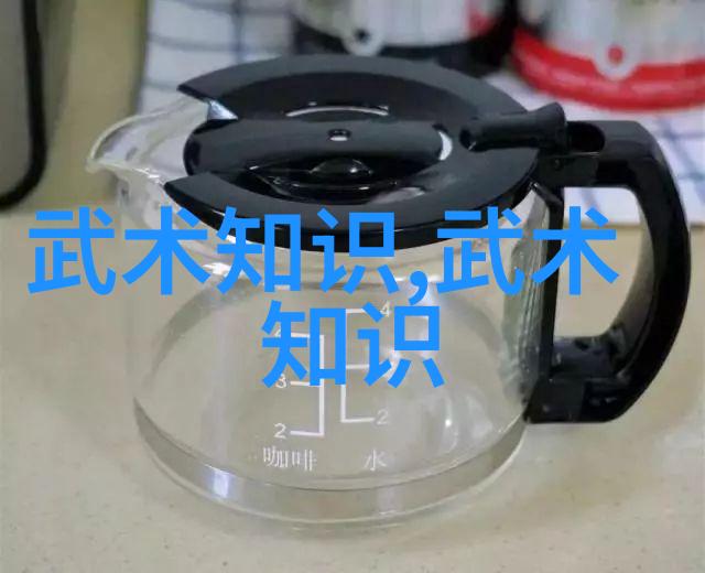 中国武术的丰富魅力揭秘各路流派的独特之处