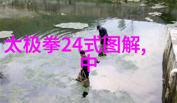 武功与武术的深刻差异探索中华文化中的技艺与艺术