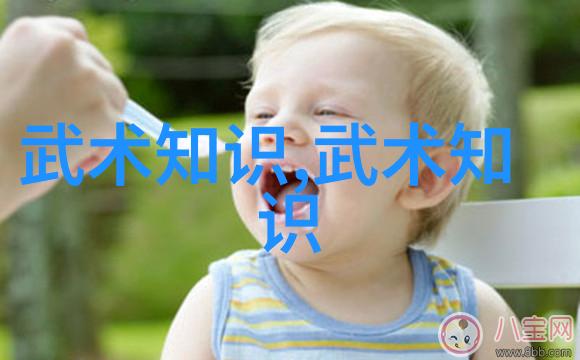 王文贤探索世界上最狠的拳法太极拳套路核心要素的反复诠释