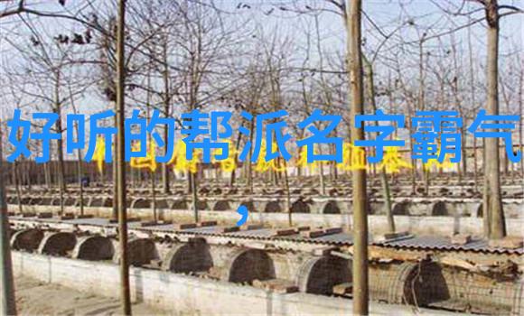 太极拳24式慢动作讲解揭秘内在精髓与体外实践