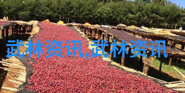 英语老师给我吃她的小兔兔我和英语老师的可爱误会小兔子的奇遇