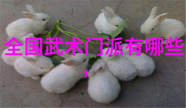 仙界游戏宗门全览仙气飘飘的虚拟世界
