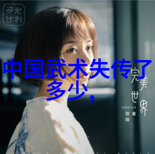 武功与武术的区别探究从修为到技艺的哲学考量