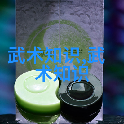 探讨少林寺拳法录的重要性及其对现代武学研究的贡献
