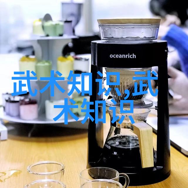 李雅轩太极拳论汇编武功自学教学视频练习如同品酒需慢慢品味