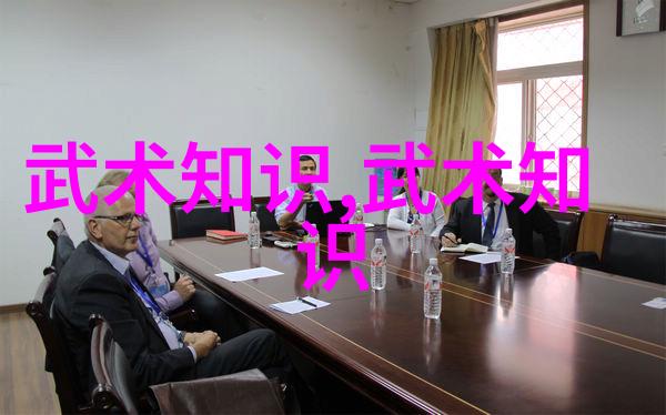 少林派武术中的至尊拳法铁掌金刚手