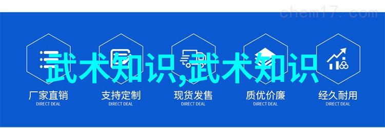 揭秘太极拳24式解锁古老武学的深邃奥秘