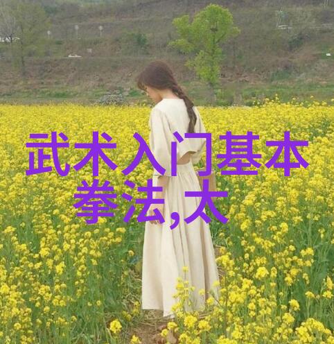 剑锋与拳影武功与武术的纷争