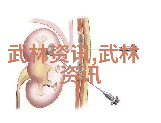 帮派名字大全优雅古风 - 岁月悠长探寻古风帮派名字的魅力