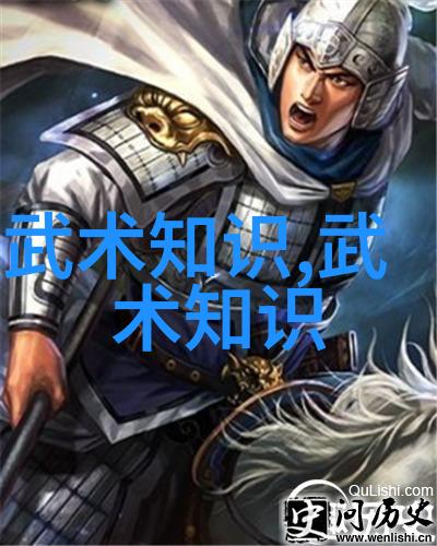 武功与武术分水岭与艺术之争