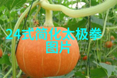 好听帮派古风名字仙气一点-古风帮派之名寻找那份仙气飘逸的音韵