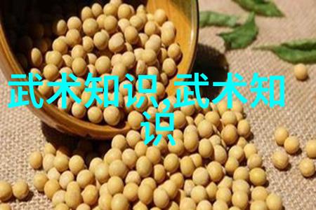 武林绝学探究历史背景与文化意义