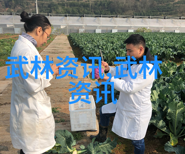 武术教程 - 掌握内外兼修武术基本功的完美结合