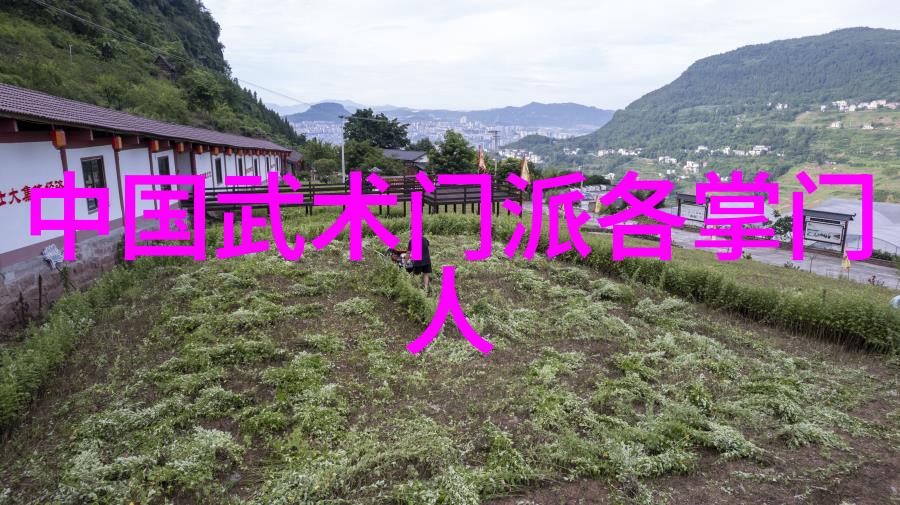 六大门派之谜秘密的财源何在