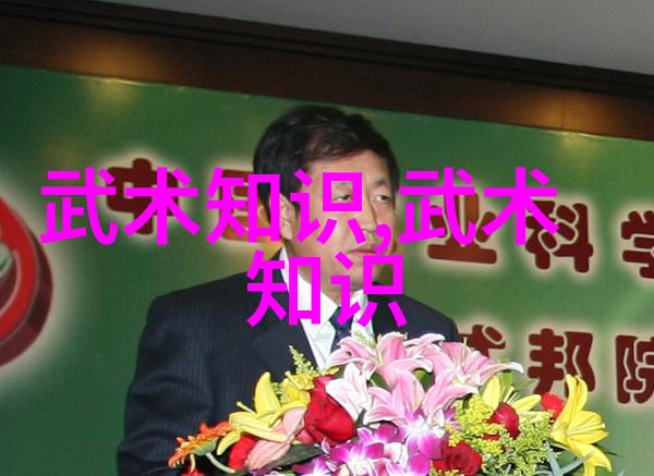 24式中的每个动作都有其独特之处如何理解它们之间的联系和转换