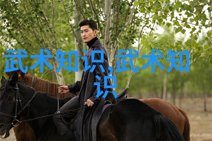 功夫练习方法内家外家功夫的训练技巧