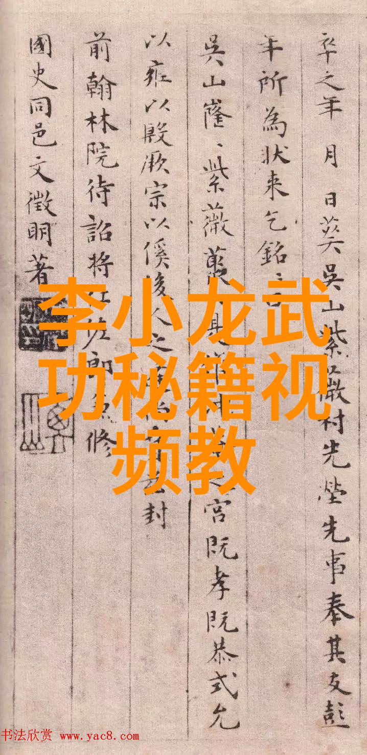 武术刚开始练初学者的基础技巧与训练方法探究